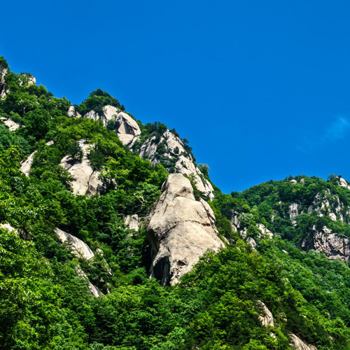 休閑養生(shēng)