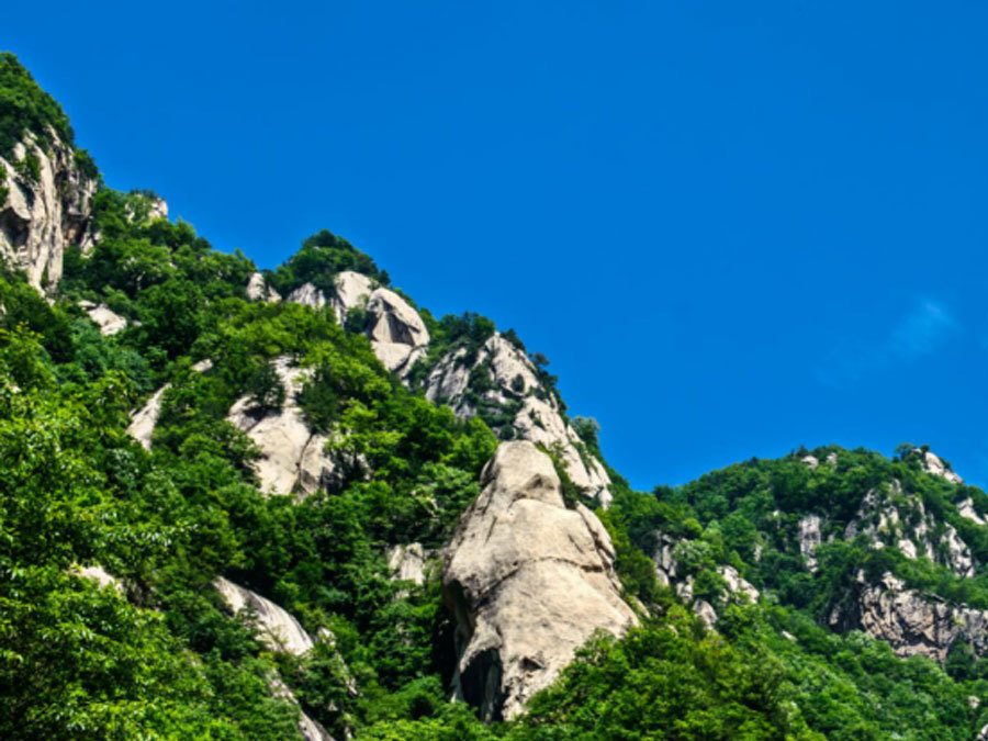 在問(wèn)天苑那(nà)幽遠(yuǎn)而神秘的(de)東(dōng)北(běi)方，矗立著(zhe)一(yī)座巍峨挺拔的(de)山(shān)峰！